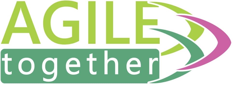 website developed by solid fiction for agile together